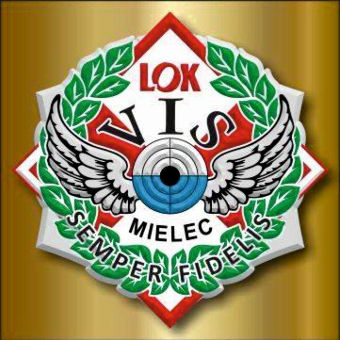 LOGO VIS MIELEC