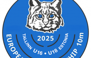 logo mistrzostw talin
